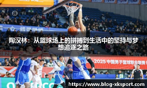 陶汉林：从篮球场上的拼搏到生活中的坚持与梦想追逐之路