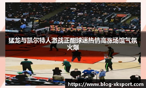 猛龙与凯尔特人激战正酣球迷热情高涨场馆气氛火爆