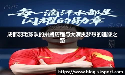 成都羽毛球队的拼搏历程与大满贯梦想的追逐之路